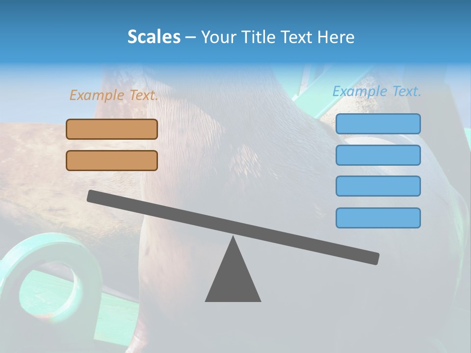 Fur Animal Lion PowerPoint Template