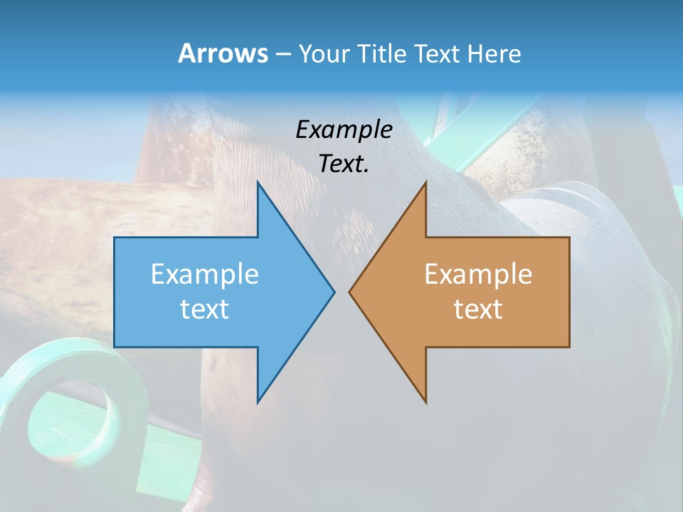 Fur Animal Lion PowerPoint Template