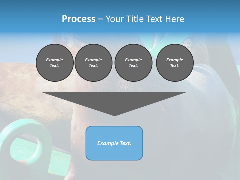 Fur Animal Lion PowerPoint Template