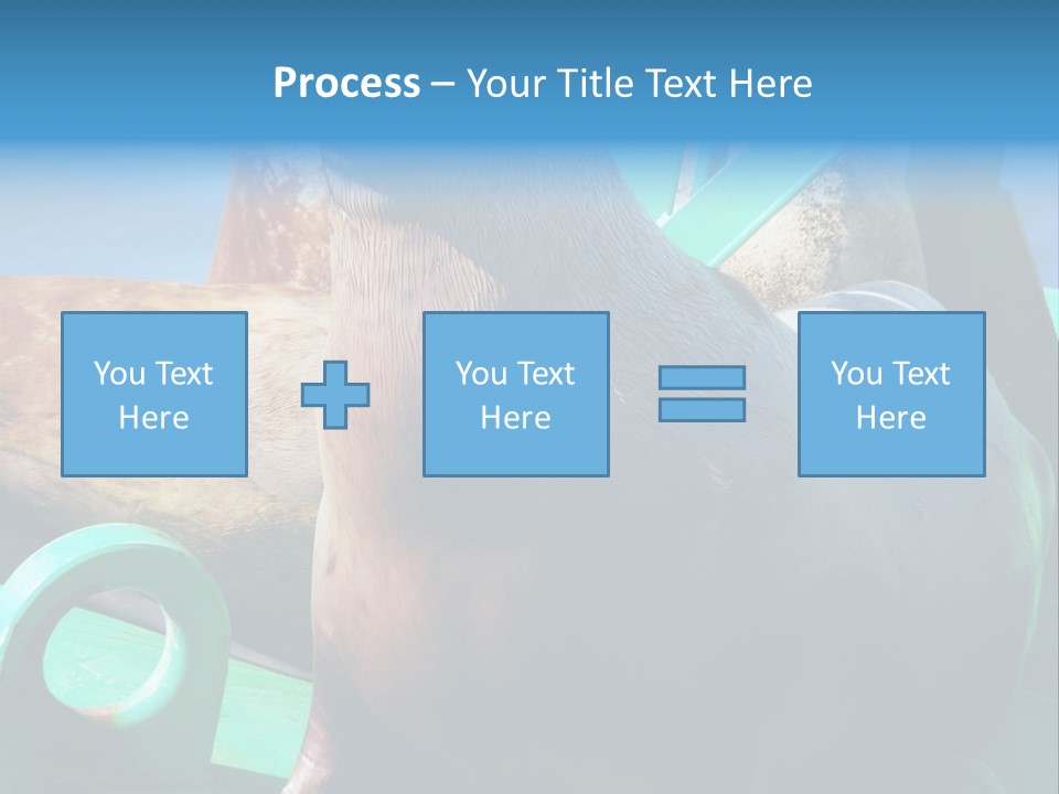 Fur Animal Lion PowerPoint Template