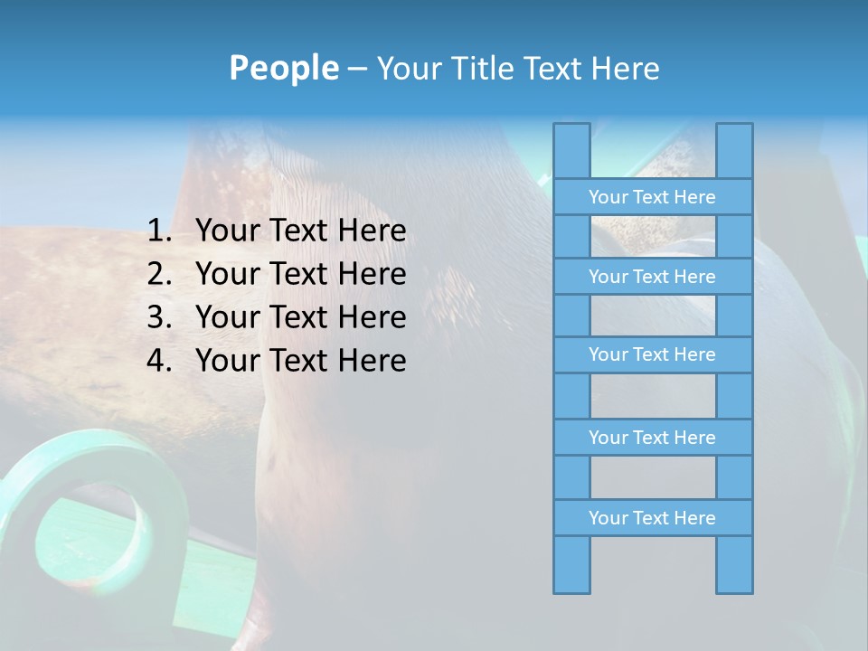 Fur Animal Lion PowerPoint Template