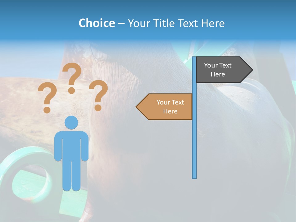 Fur Animal Lion PowerPoint Template