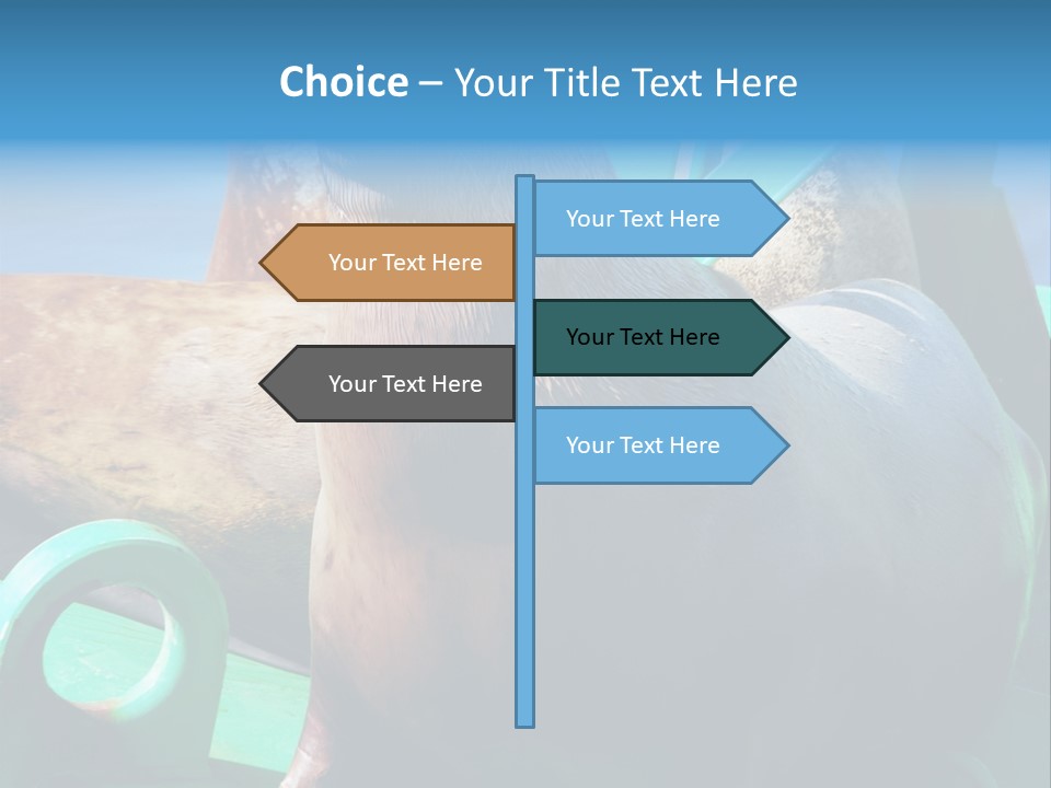 Fur Animal Lion PowerPoint Template