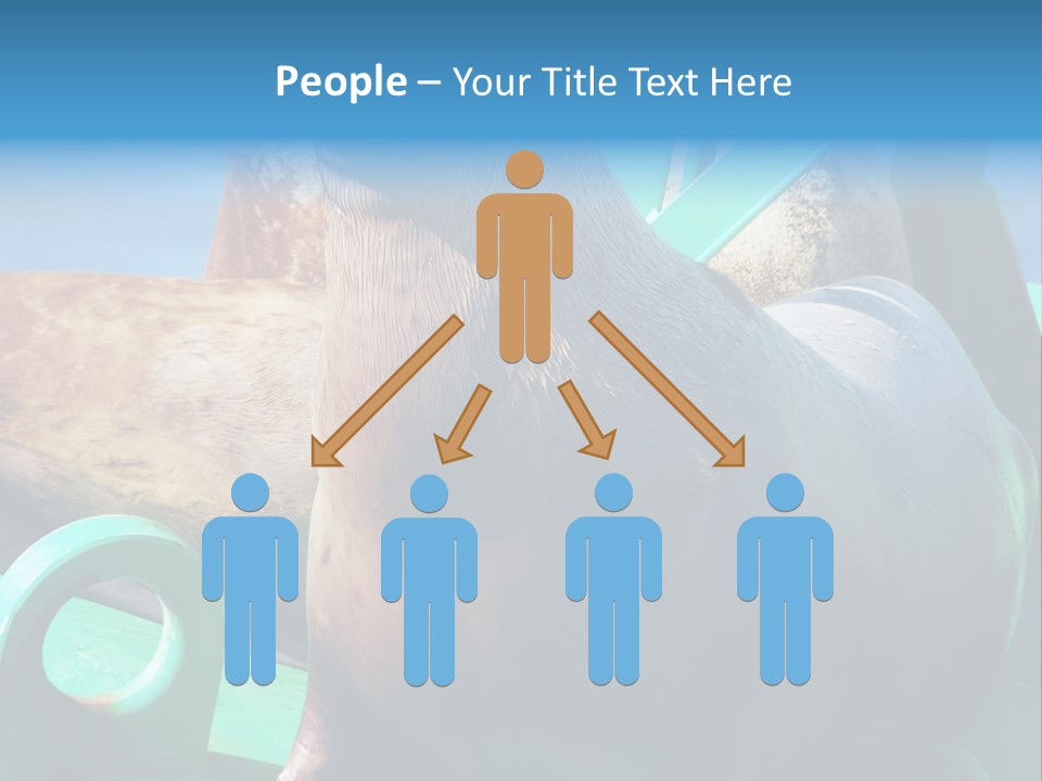 Fur Animal Lion PowerPoint Template