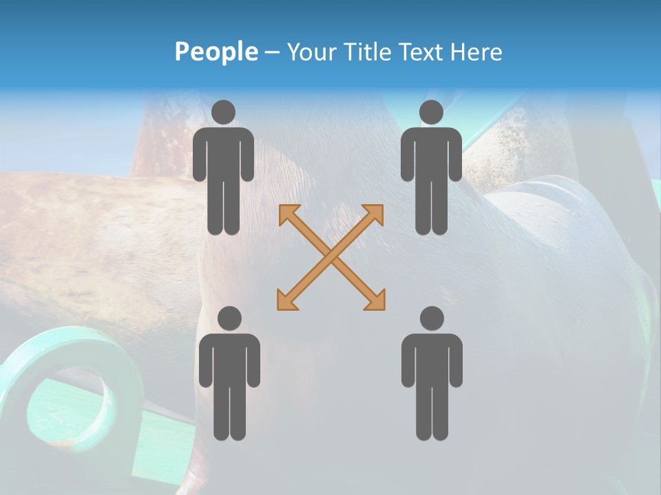 Fur Animal Lion PowerPoint Template