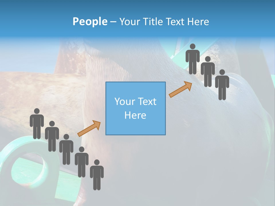 Fur Animal Lion PowerPoint Template