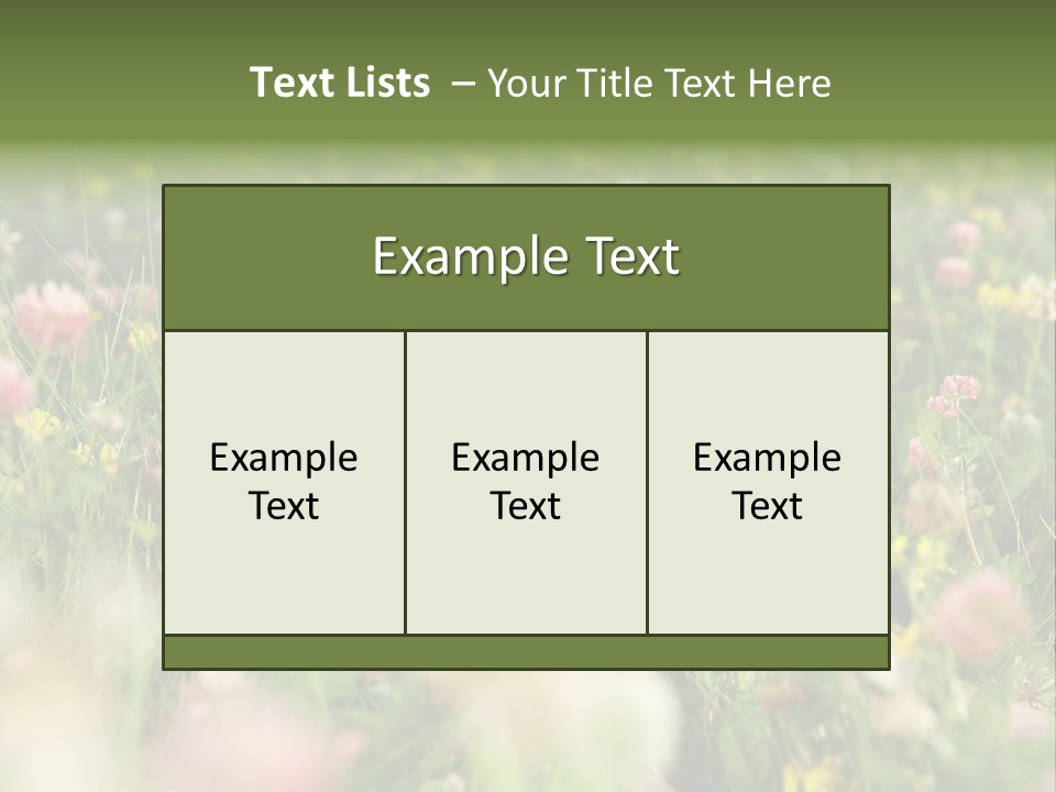 Park Barefoot Pampering PowerPoint Template