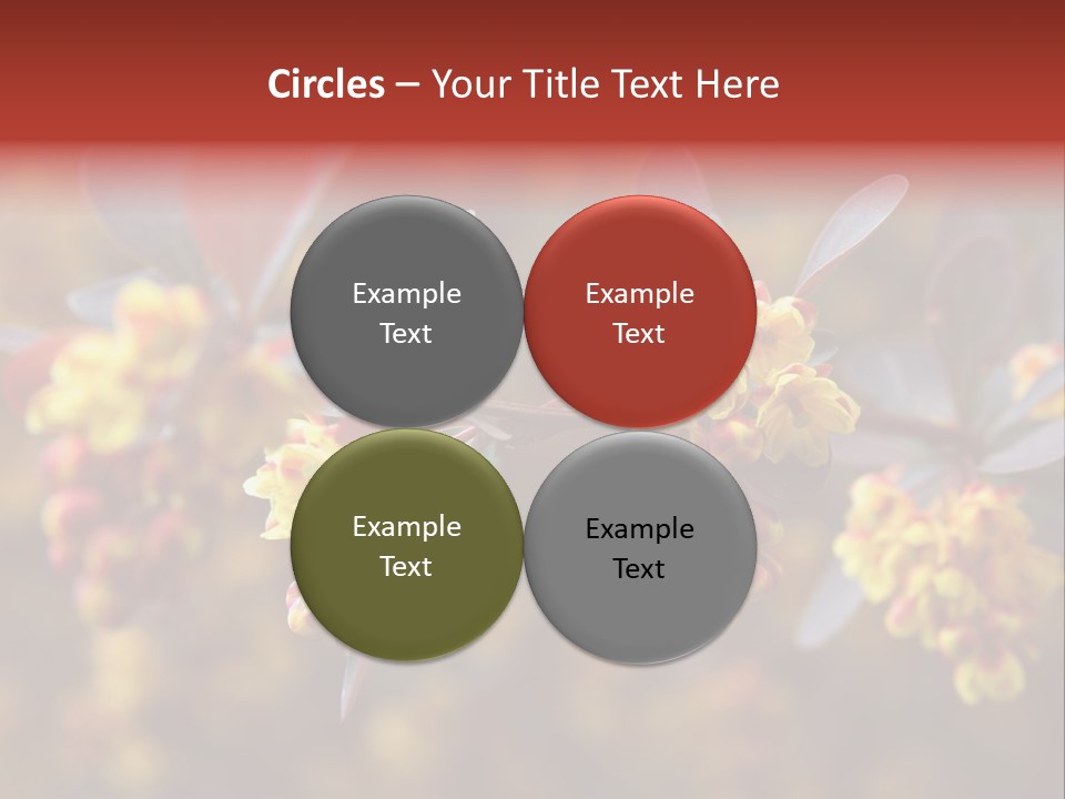 Flower Petal Spring PowerPoint Template