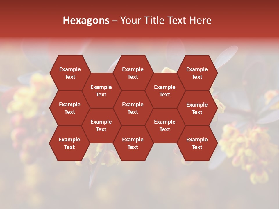 Flower Petal Spring PowerPoint Template