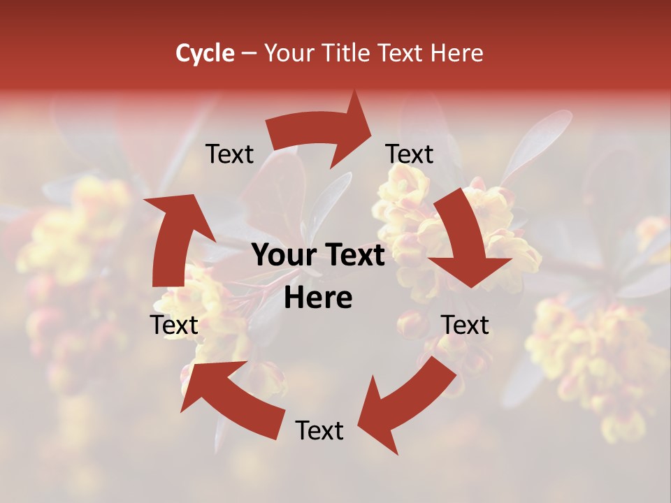 Flower Petal Spring PowerPoint Template