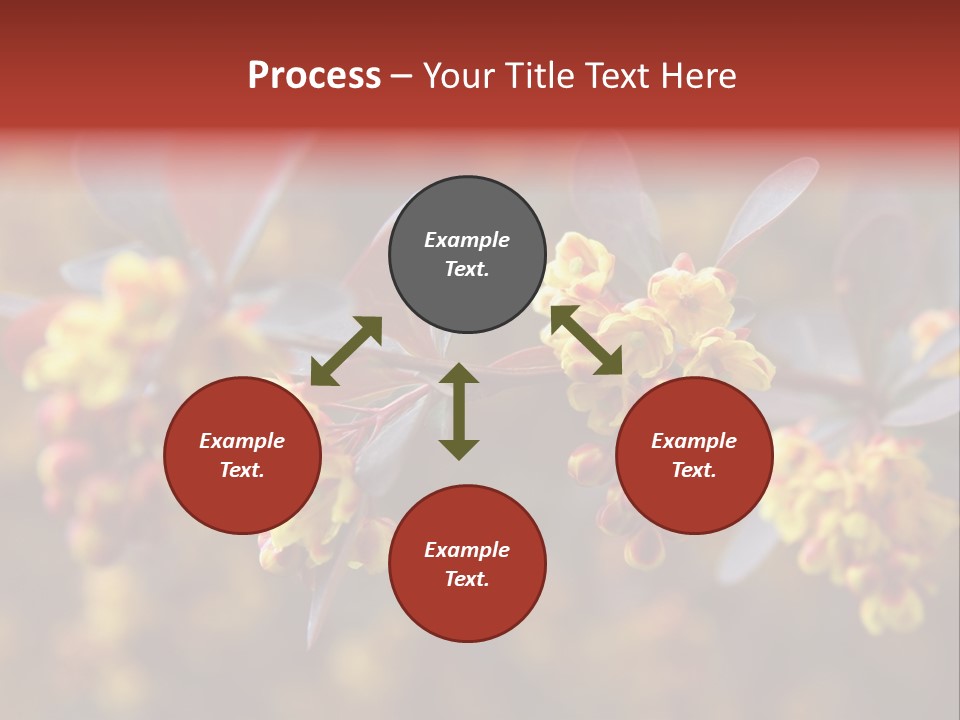 Flower Petal Spring PowerPoint Template