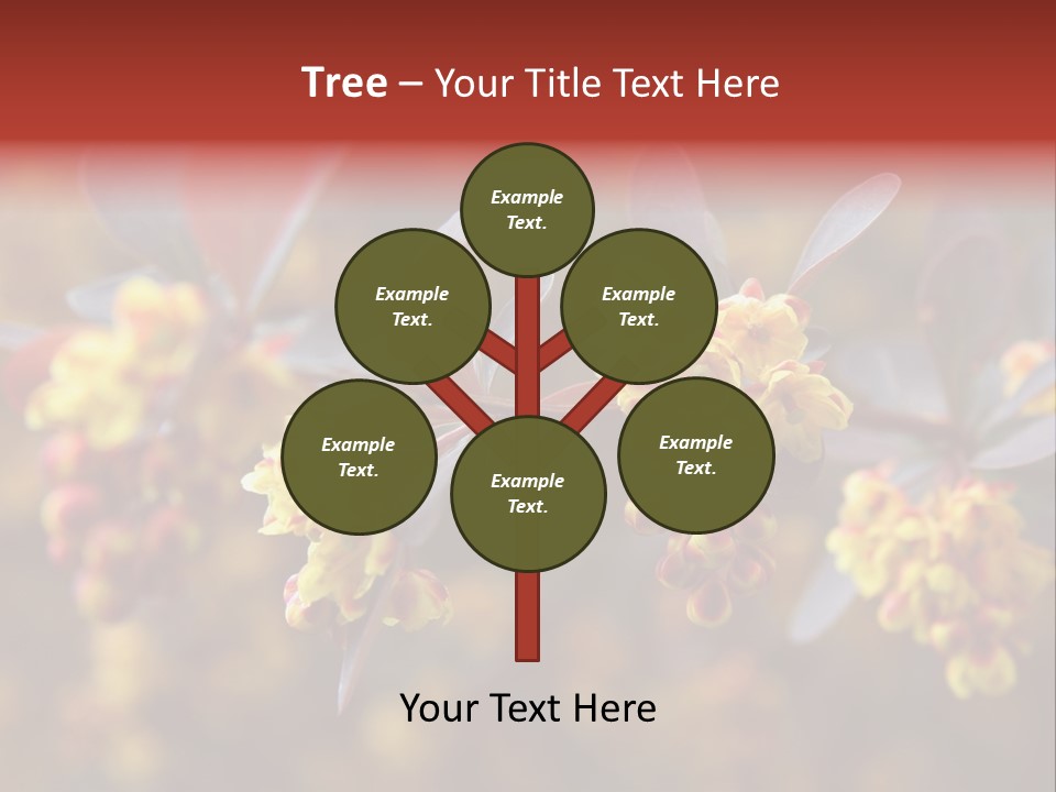 Flower Petal Spring PowerPoint Template