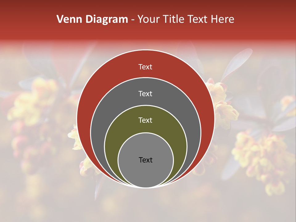 Flower Petal Spring PowerPoint Template