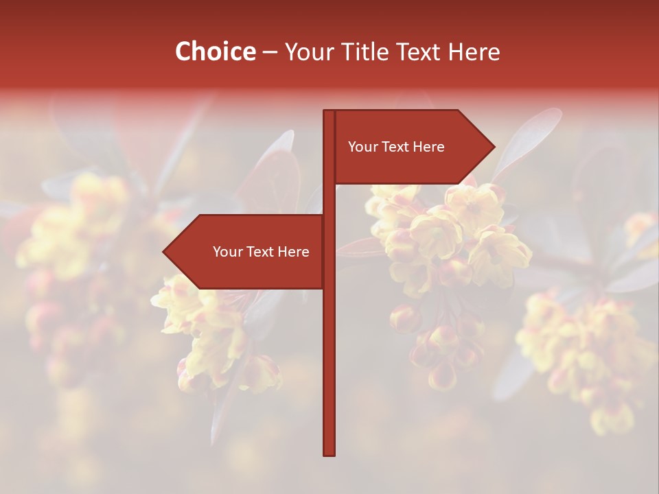 Flower Petal Spring PowerPoint Template