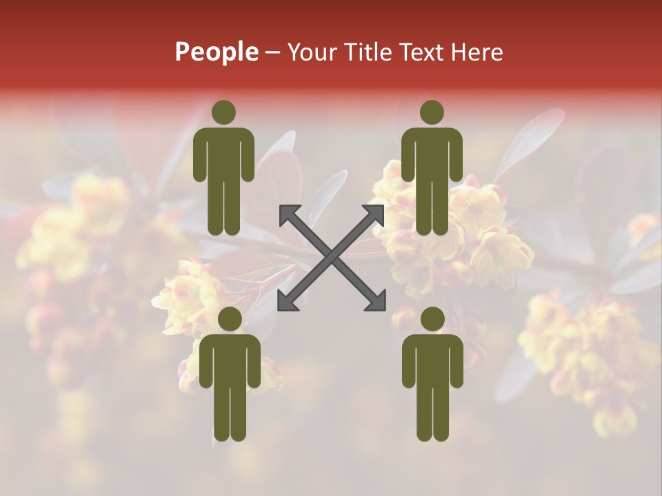 Flower Petal Spring PowerPoint Template