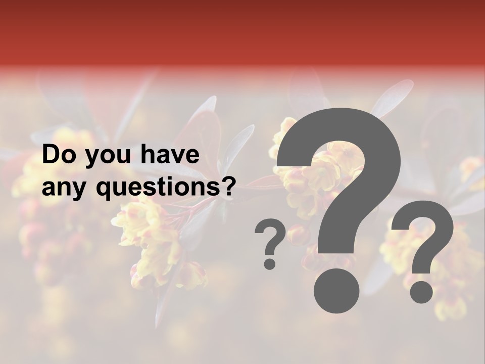 Flower Petal Spring PowerPoint Template