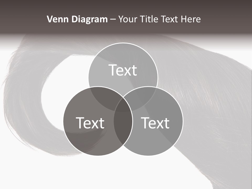 Feminine Color Uncombed PowerPoint Template