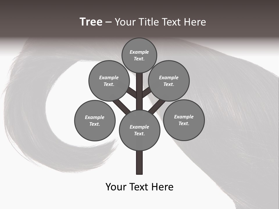 Feminine Color Uncombed PowerPoint Template