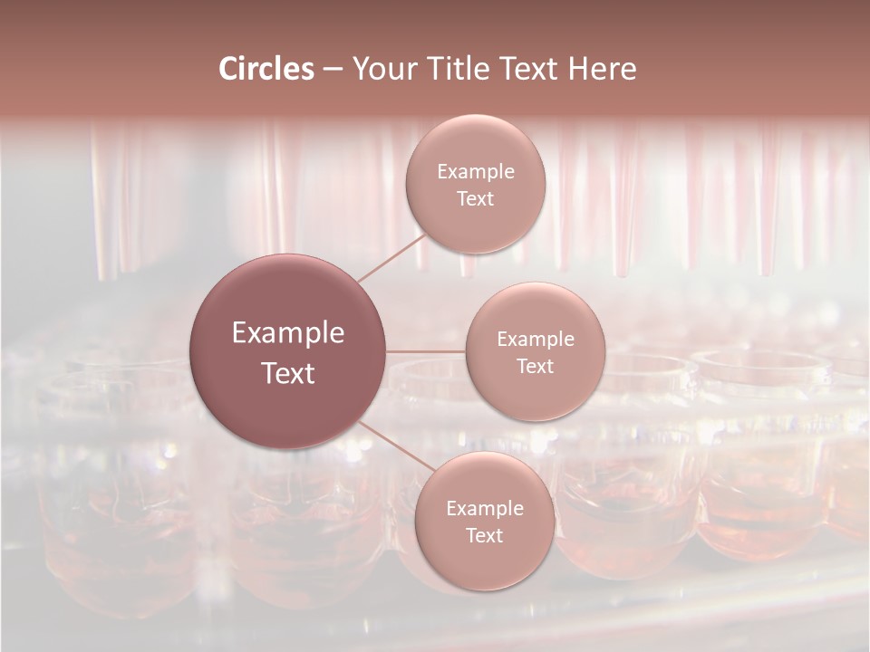 Highthroughput Elisa Tips PowerPoint Template