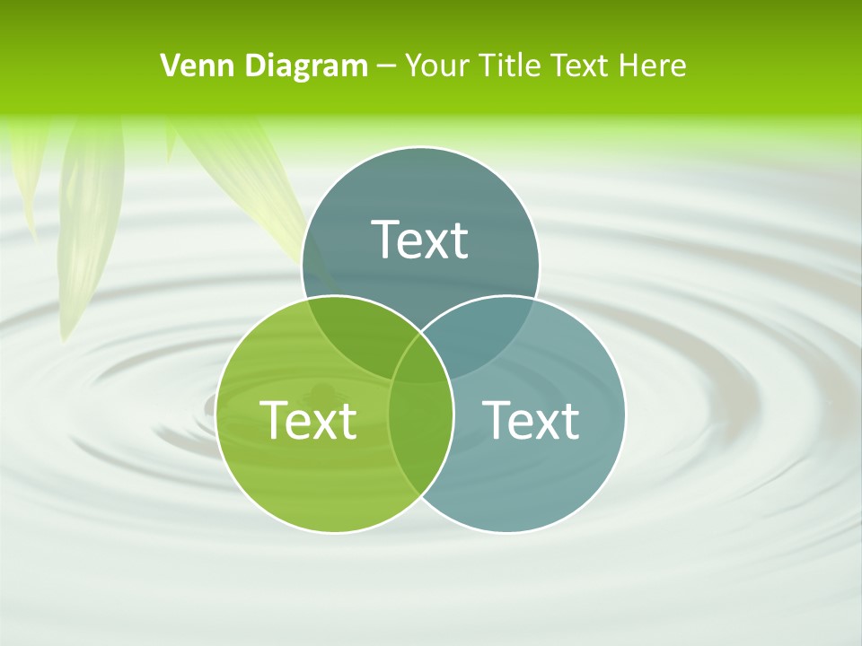 Clean Carpet Work PowerPoint Template