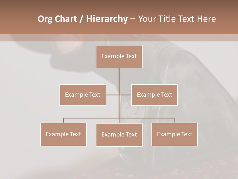 Clean Carpet Work PowerPoint Template