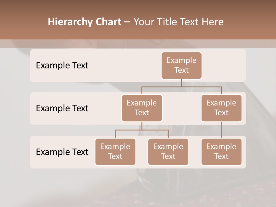 Clean Carpet Work PowerPoint Template