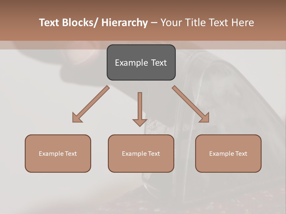 Clean Carpet Work PowerPoint Template