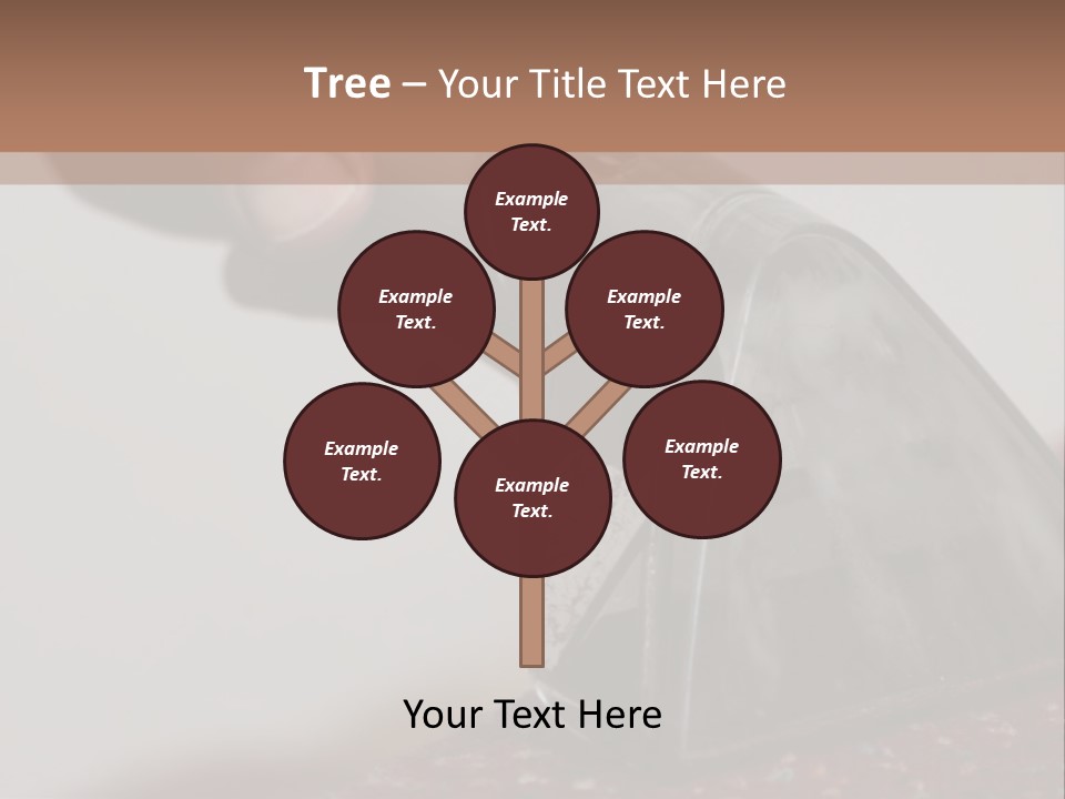 Clean Carpet Work PowerPoint Template