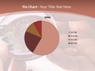 Bacteriology Laboratory Mendo Les PowerPoint Template