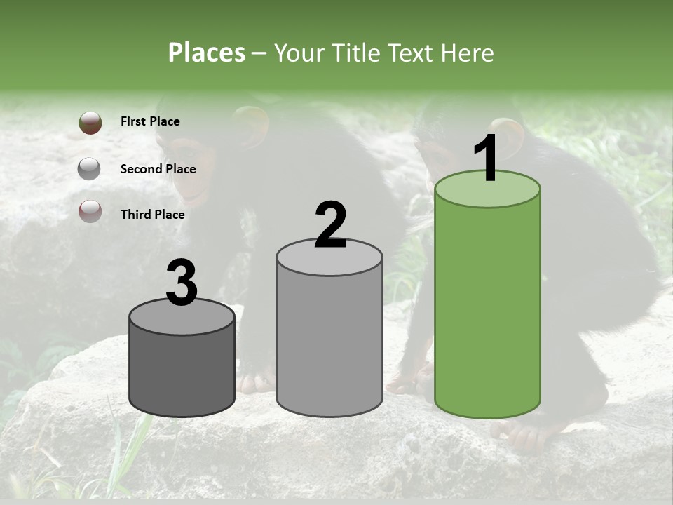 Primate Black Stone PowerPoint Template