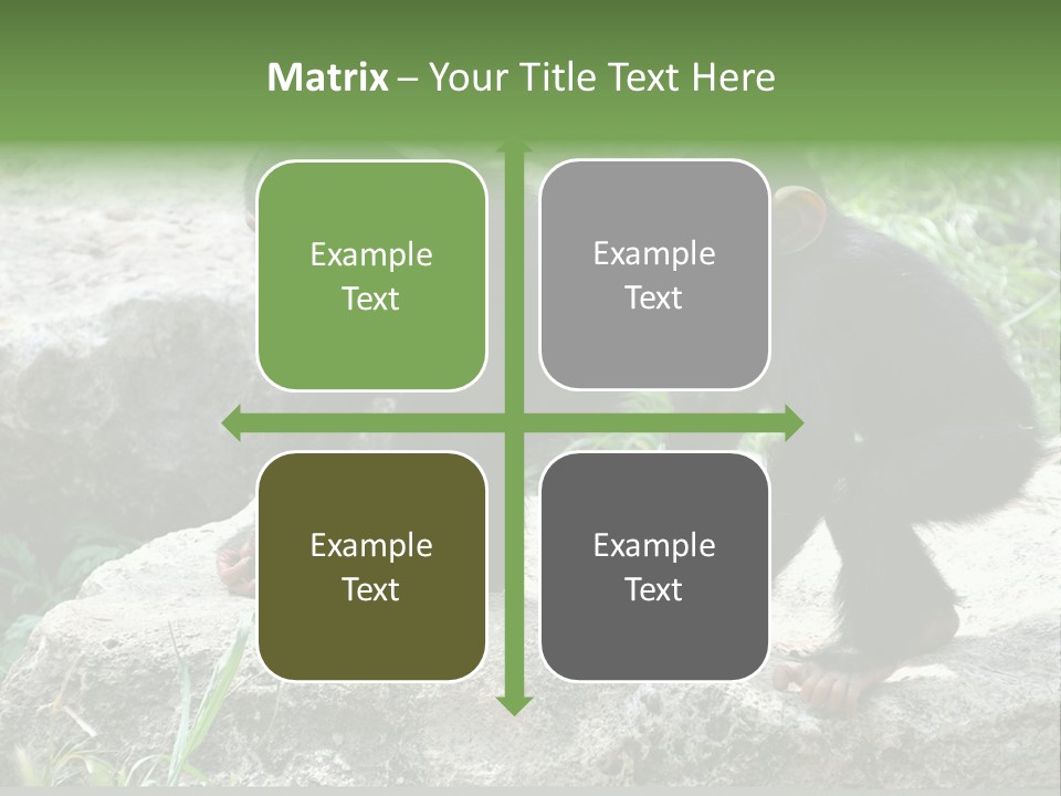 Primate Black Stone PowerPoint Template