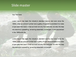 Primate Black Stone PowerPoint Template