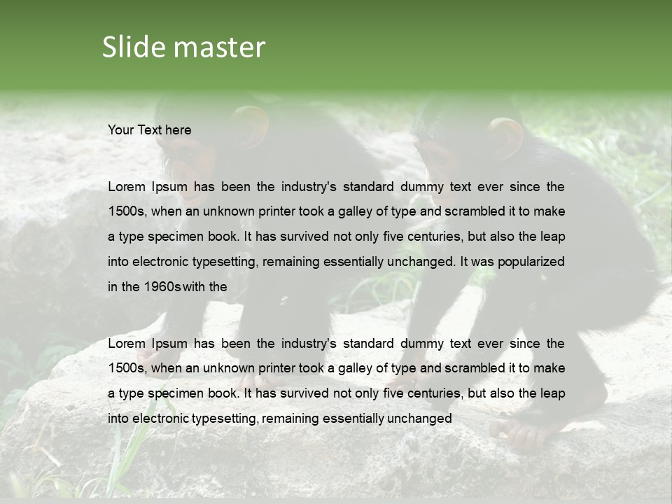 Primate Black Stone PowerPoint Template