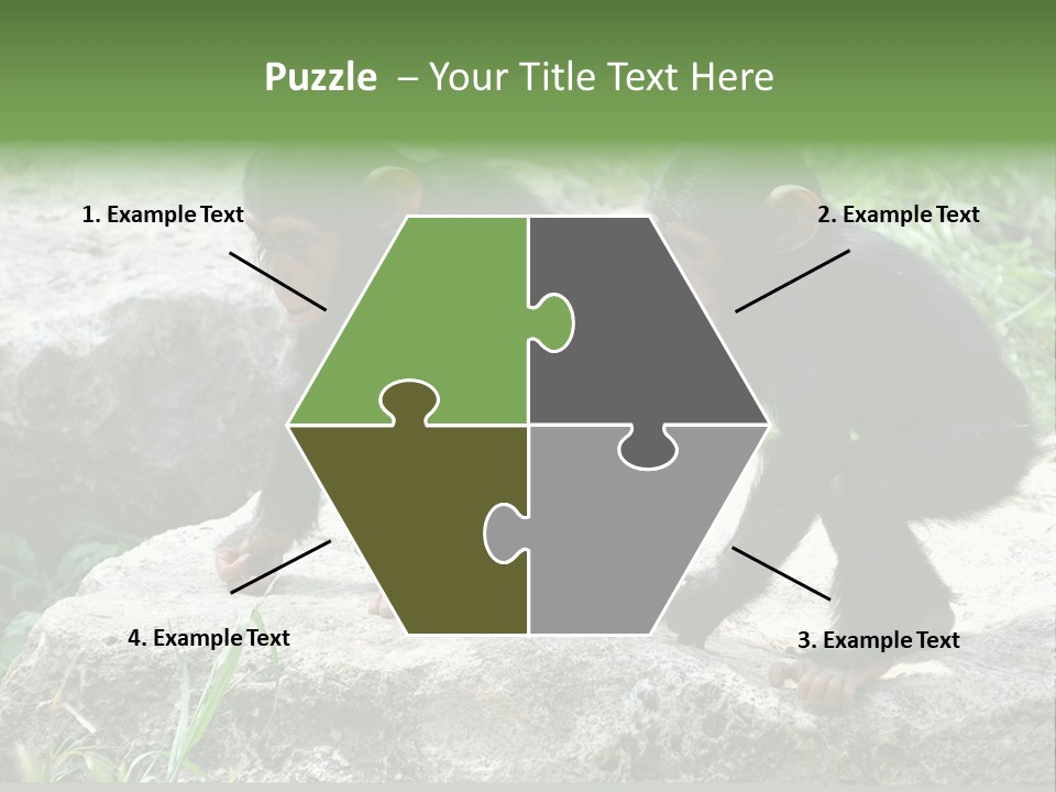 Primate Black Stone PowerPoint Template