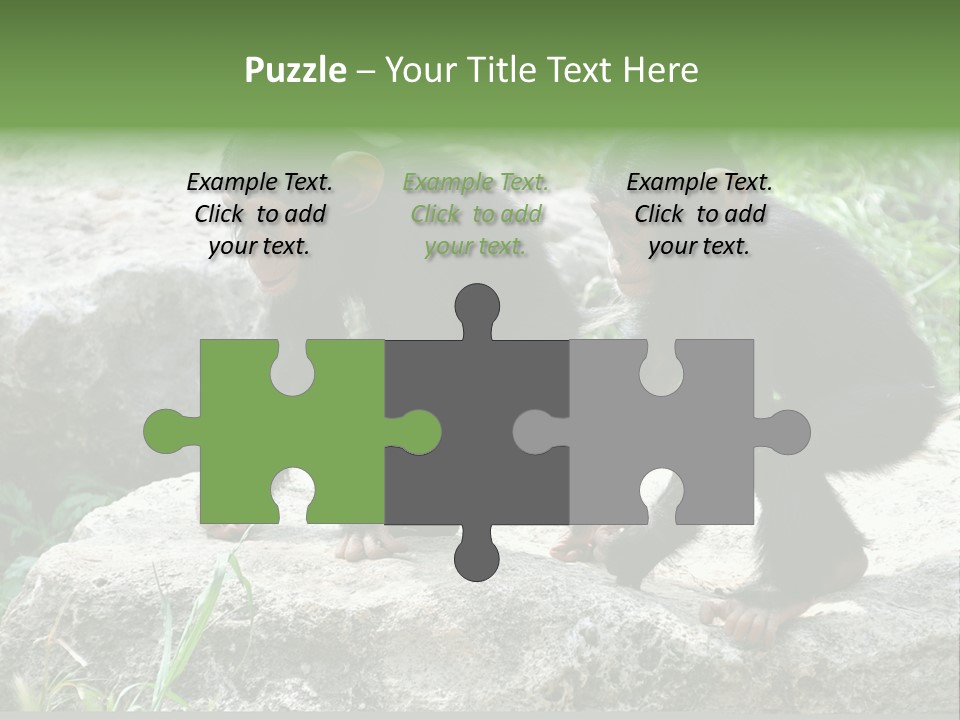 Primate Black Stone PowerPoint Template