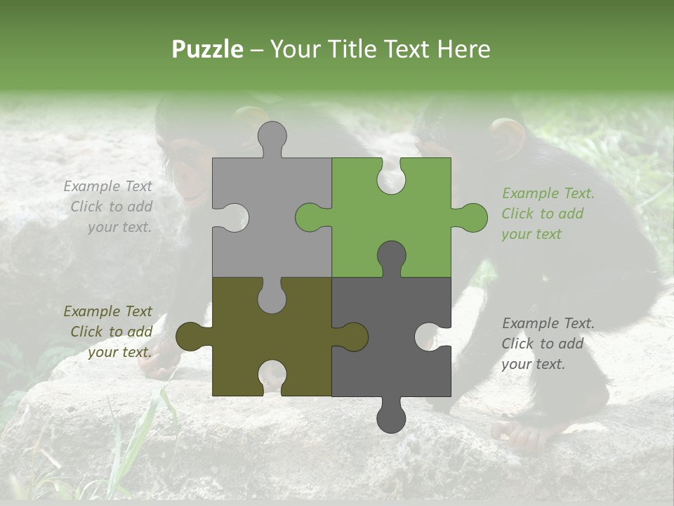 Primate Black Stone PowerPoint Template