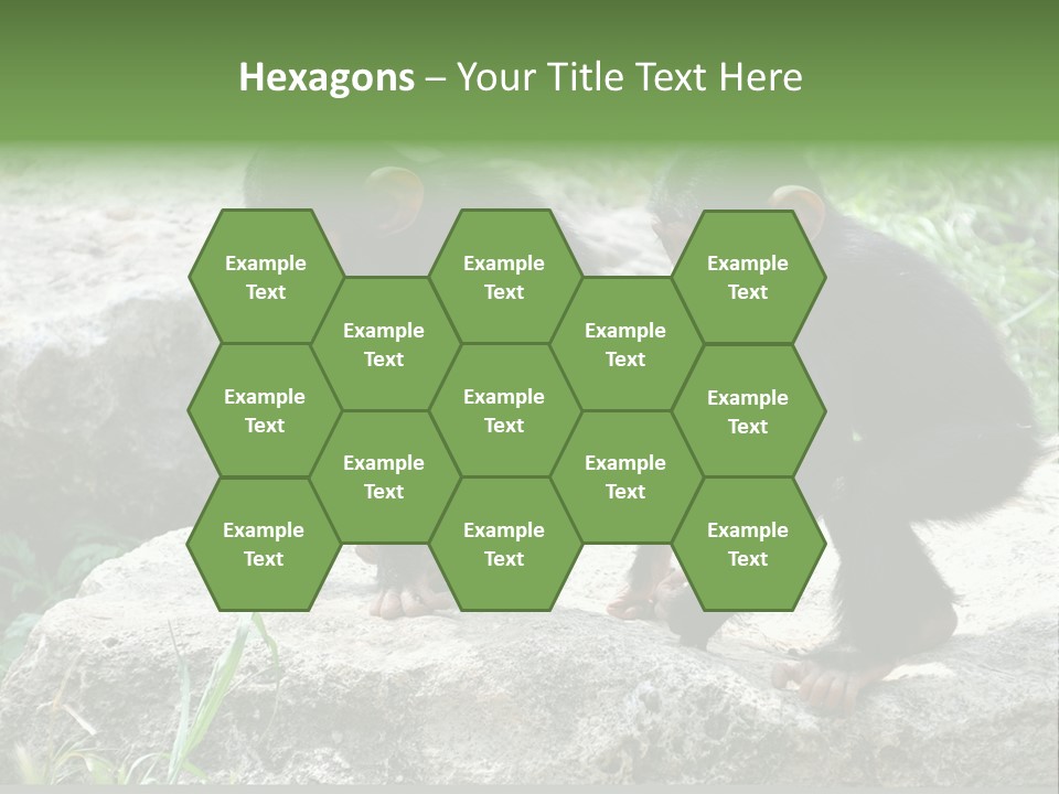 Primate Black Stone PowerPoint Template