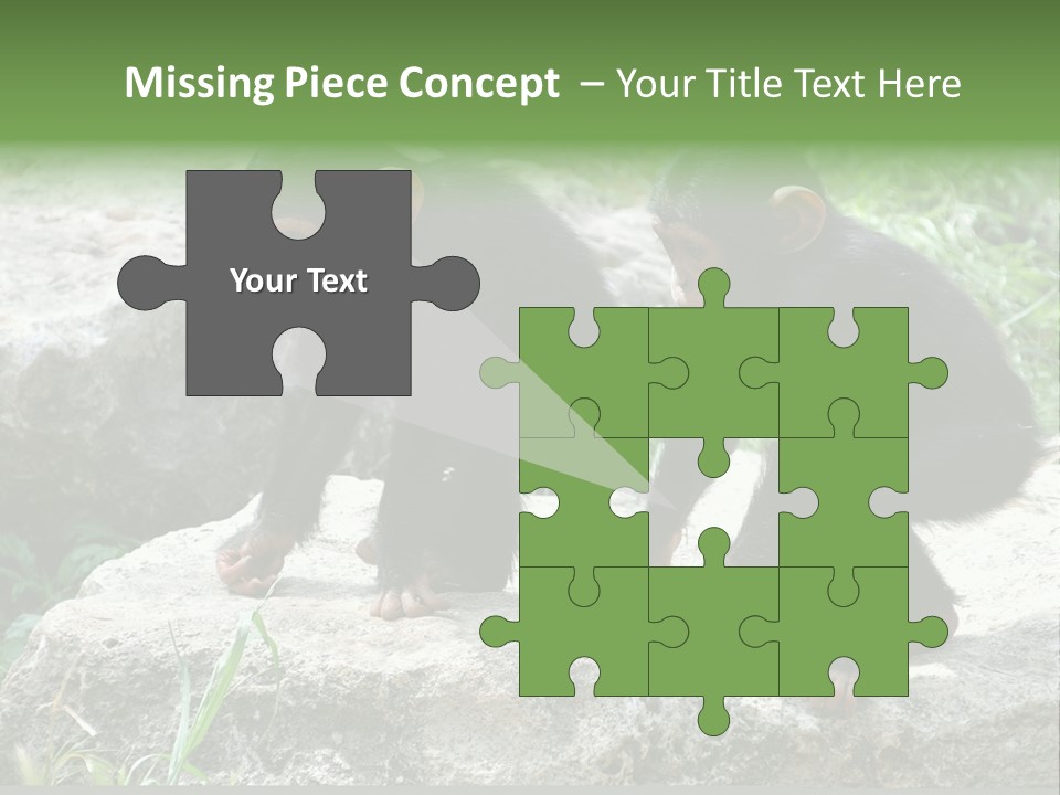 Primate Black Stone PowerPoint Template