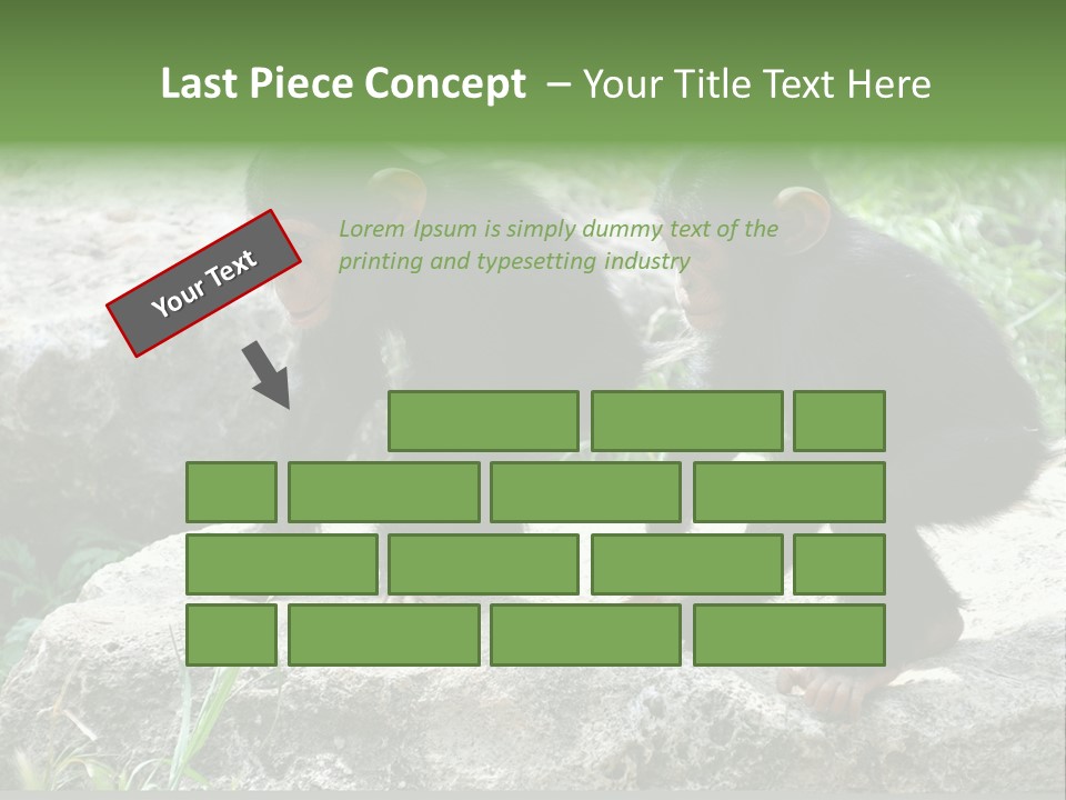 Primate Black Stone PowerPoint Template