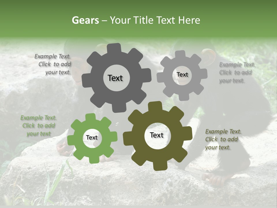Primate Black Stone PowerPoint Template