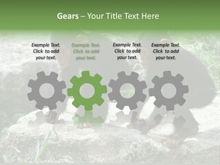 Primate Black Stone PowerPoint Template