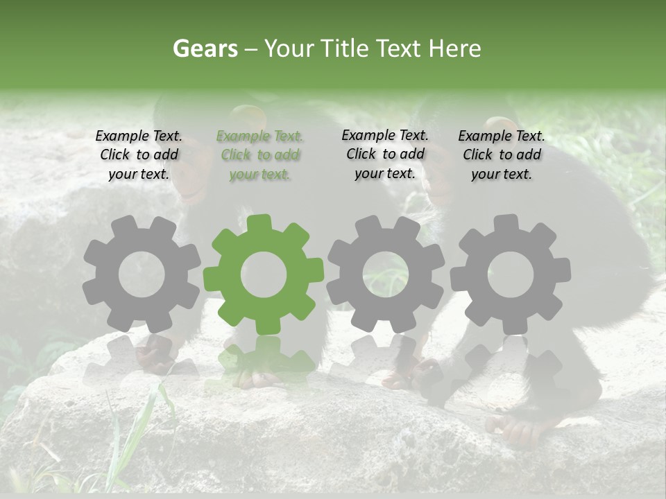 Primate Black Stone PowerPoint Template