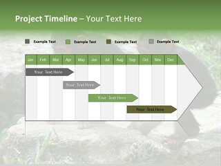 Primate Black Stone PowerPoint Template