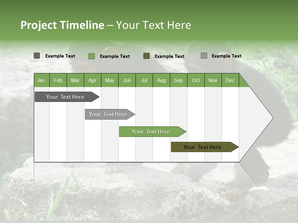 Primate Black Stone PowerPoint Template