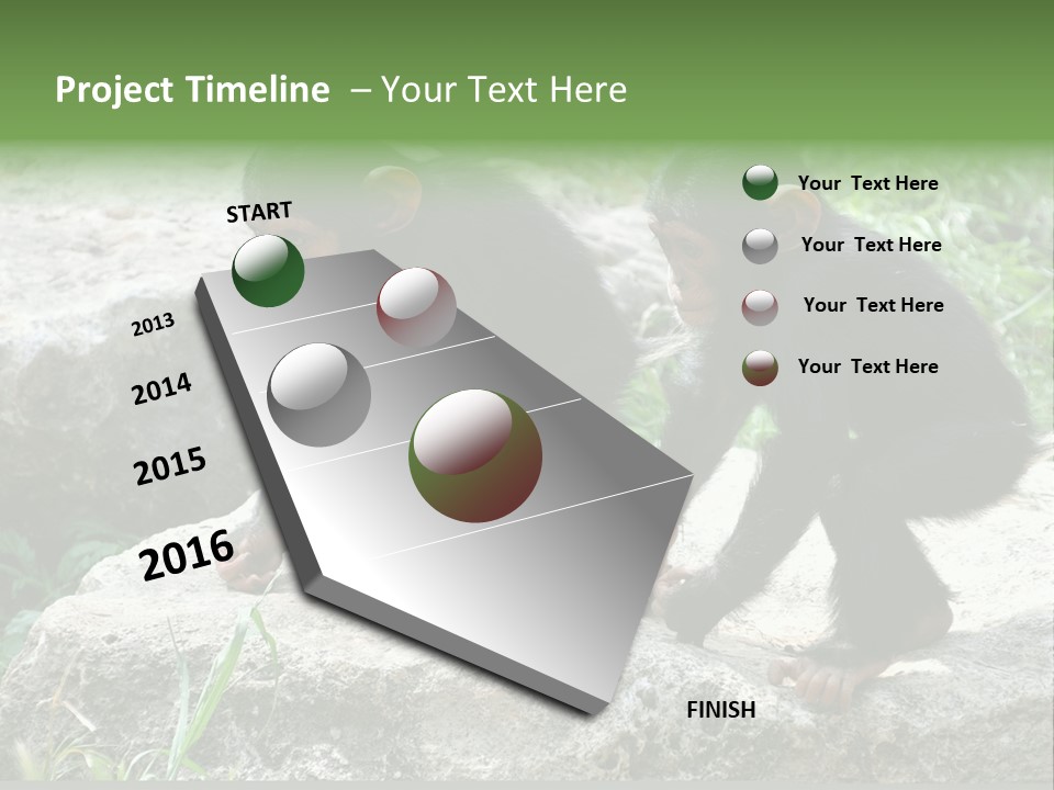 Primate Black Stone PowerPoint Template