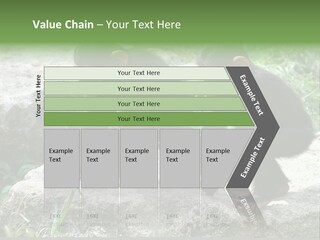 Primate Black Stone PowerPoint Template