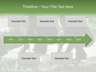 Primate Black Stone PowerPoint Template
