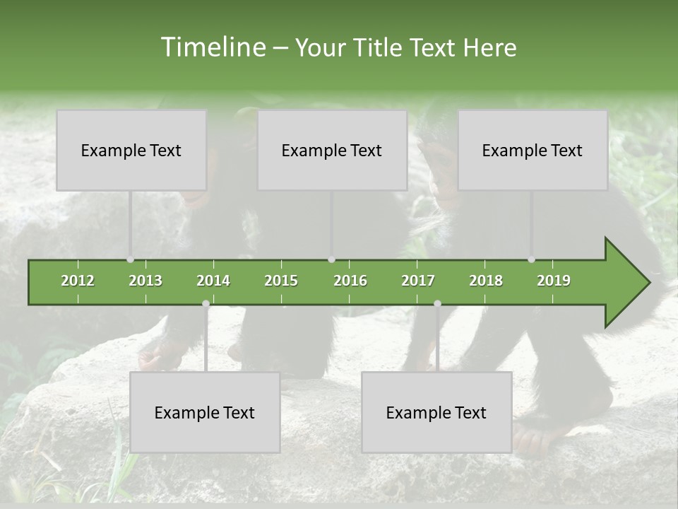Primate Black Stone PowerPoint Template