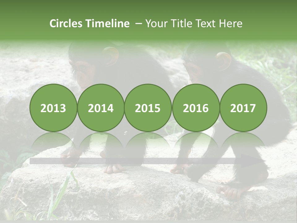 Primate Black Stone PowerPoint Template