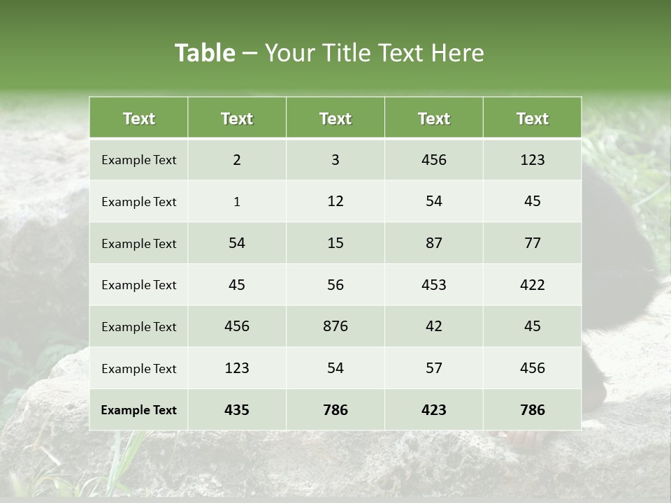 Primate Black Stone PowerPoint Template